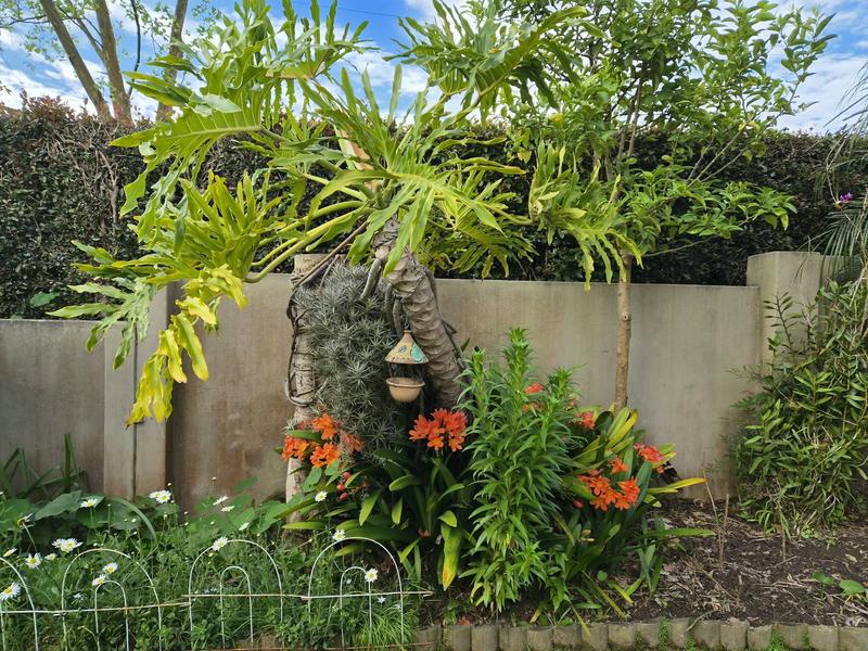 3 Bedroom Property for Sale in Heather Park Western Cape